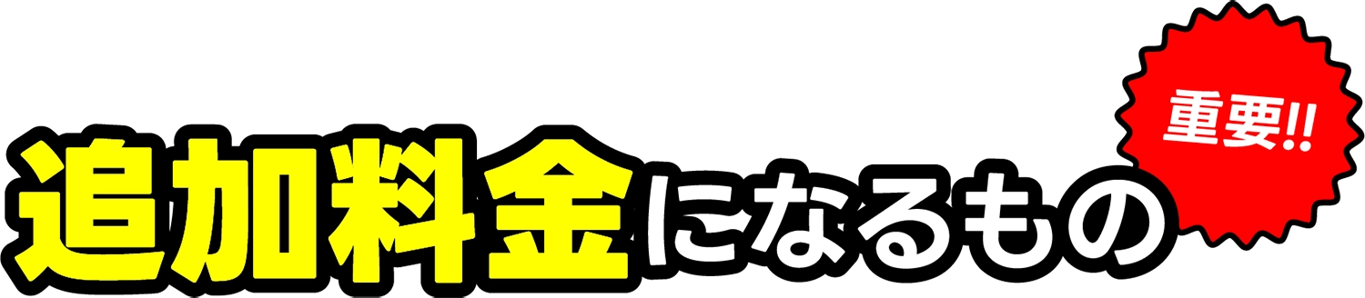 追加料金になるもの